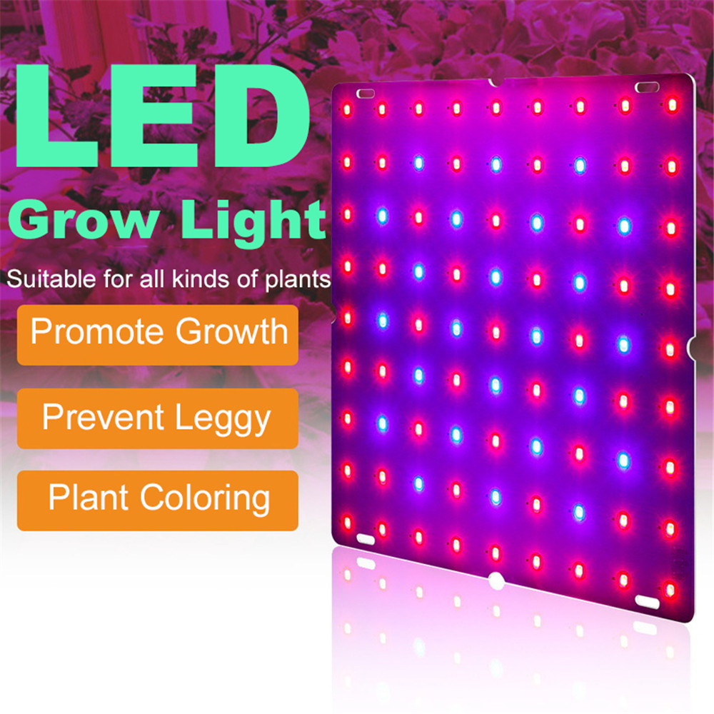 COB LED 성장 조명 전체 스펙트럼 100W 200W 초박형 양자 기술 보드, 2835 LED 성장 조명 수경법 식물 램프 85-265V